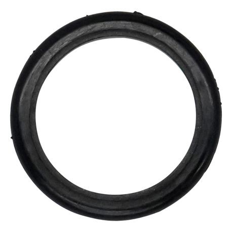 Wilden Glyd-Ring used in 1.5"-3" Pumps, PTFE