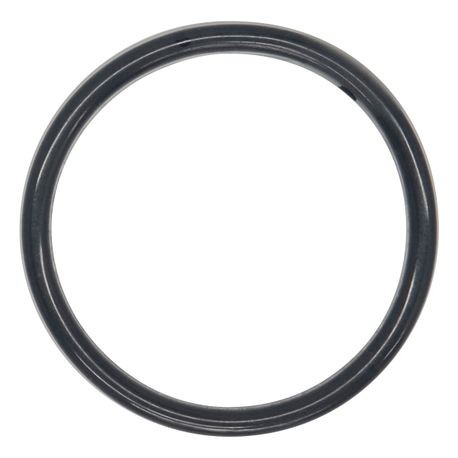 Wilden O-ring used in 0.5" & 1.5" Pumps, PTFE, Encapsulated FKM
