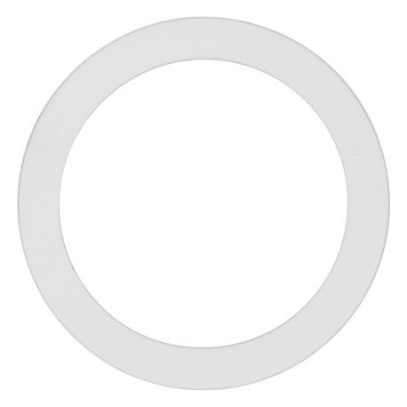 Wilden Gasket used in 2" Pumps, Expanded PTFE