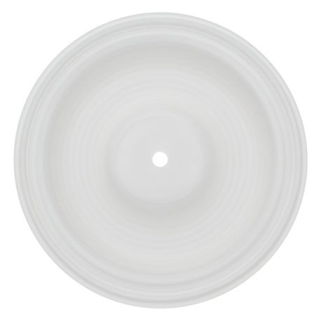 Wilden Diaphragm used in 2" Pumps, PTFE