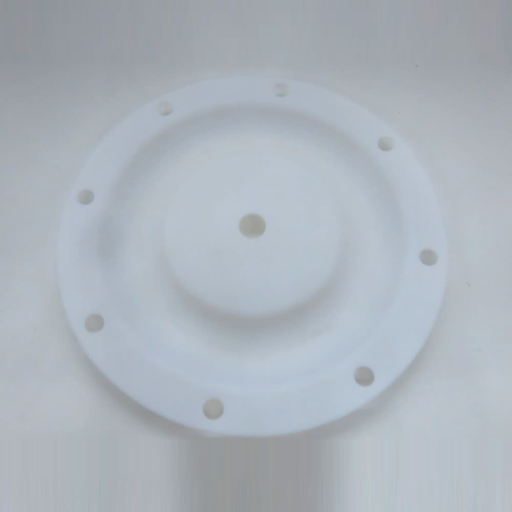 DIAPHRAGM (PTFE)